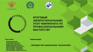 Участники итогового (межрегионального) этапа чемпионата по  Профессиональному мастерству - 2025