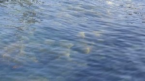 Красота моря 24.04.2025
