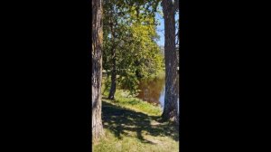 Ломоносов.Красный пруд. 28 июня 2024 года