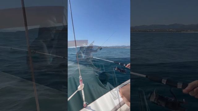 Рыбалка в море 4.08.24 😃 смотреть онлайн