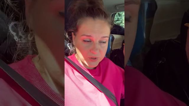 Едем к Людмиле (подписчице) смотреть онлайн