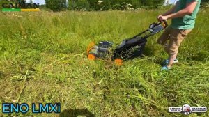 Газонокосилка аккумуляторная самоходная Caiman ENO LMXi в работе