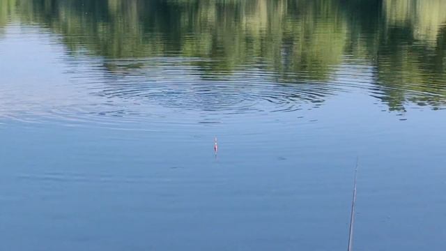 Рыбалка Краснодарский край. Лето 2024. Беляевские карьеры. смотреть онлайн