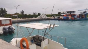 4. Мальдивы бюджетно.Едем на Felidhoo.Цены на паром,отель Alimas Holiday, экскурсии.Обзор номера