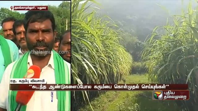 செங்கரும்புகளை சாலையில் போட்டு, ஒப்பாரி வைத்து அழுது போராட்டம் | PTT