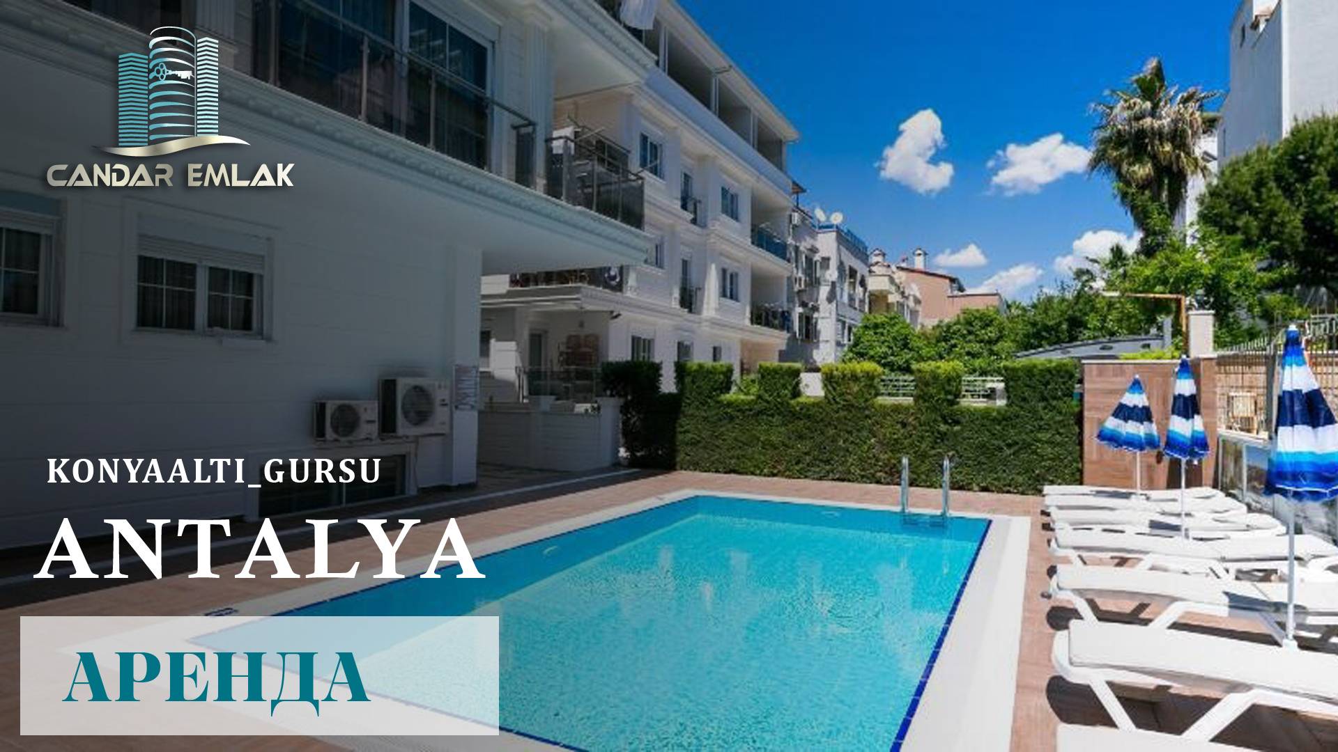 ID132 GURSU 1+1 №8