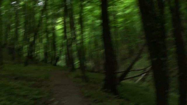 Мой первый БУШКРАФТ: Одиночный поход в лес с ночевкой без палатки / ЖИВУ 24 ЧАСА В ЛЕСУ