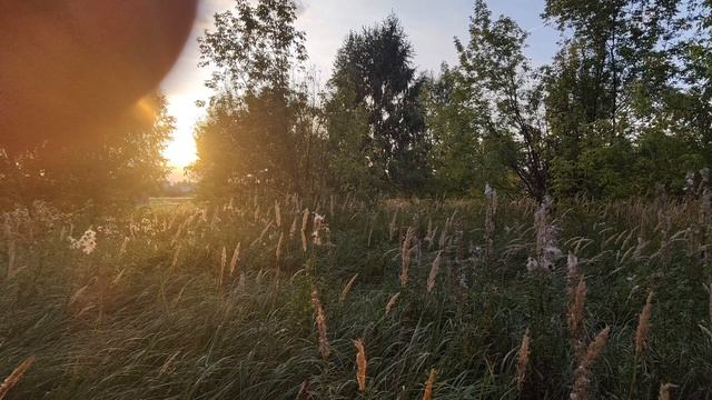 Тогашево, Республика Татарстан