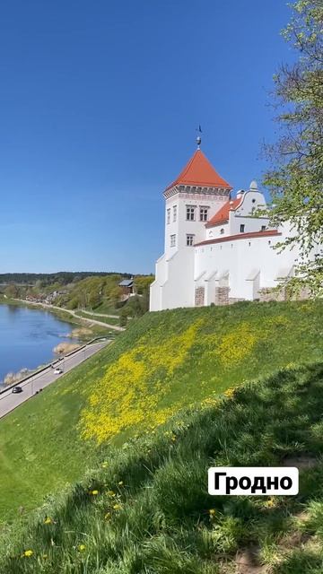 #гродно #беларусь #неман #витебск #мир #мирскийзамок #несвиж #путешествие #travel #санктпетербург смотреть онлайн