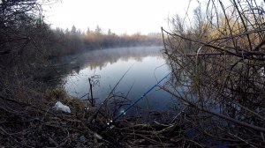 ЗАБРАЛСЯ В ДЕБРИ. РЫБАЛКА НА ПОПЛАВОК. ПЕРВЫЕ ВЕСЕННИЕ КАРАСИ