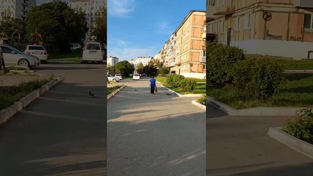 город Фокино Приморский край  - август 2024 г.