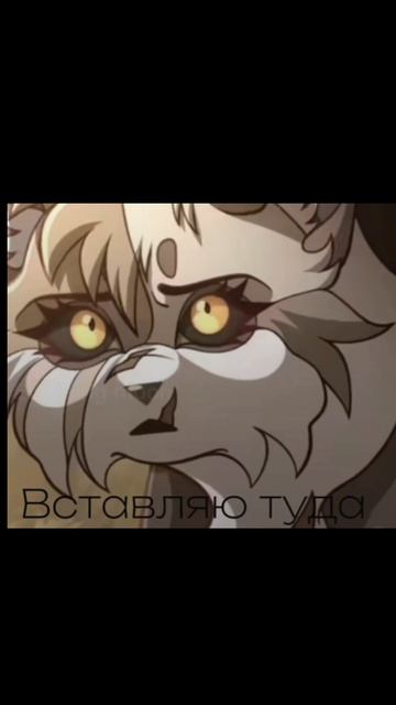 Коты/воители смотреть онлайн