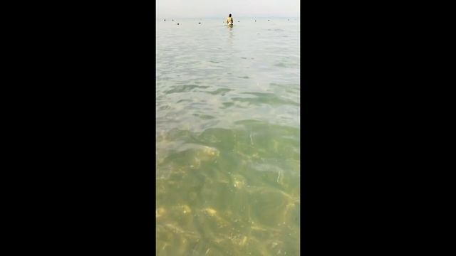 Анапа Тортуга. Утро, море, полный релакс! 14 08 22 смотреть онлайн