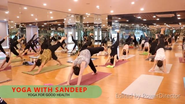 Basic Yoga All Body Workout At Home | Yoga With Sandeep | Vietnam смотреть онлайн