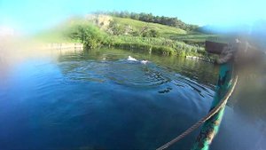 ГОЛУБОЕ ОЗЕРО. БАШКОРТОСТАН. УФА. ПОДВОДНАЯ СЪЕМКА.