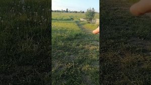 квадроцикл armour 200  и Linhay-yamaha m 200 обзор и сравнение. Армор 200 и линхай м200 .