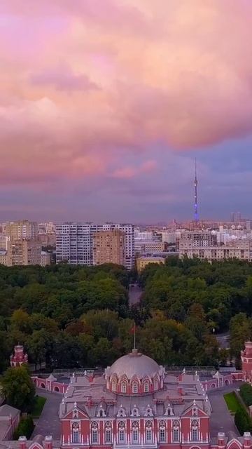 Петровский путевой дворец. Видео с коптера смотреть онлайн