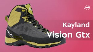 Ботинки мужские Kayland Vision Gtx