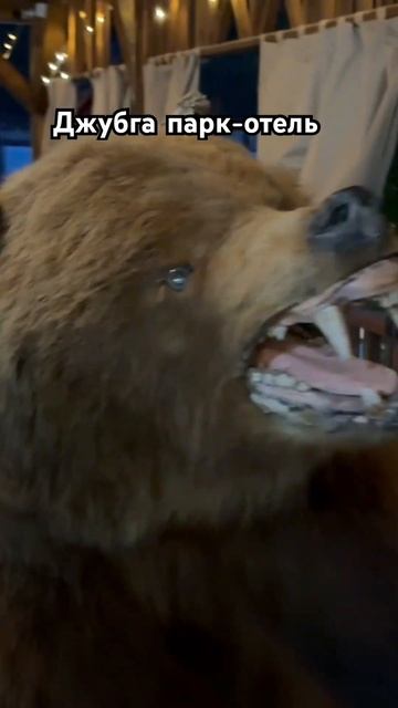 Полные видеообзоры на моем канале #джубга #sea #море #russia #россия #отелироссии смотреть онлайн