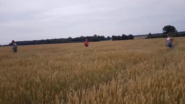 Работа лагеря "Юность-Т" смотреть онлайн