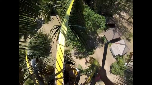 Coconut Climb смотреть онлайн