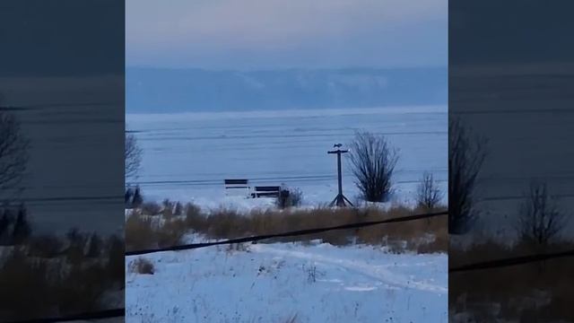 3 февраля 2023 г. смотреть онлайн