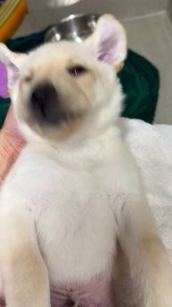 Here’s a yawn and a wink for ya