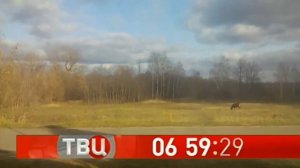 Часы ТВ Центр (2018-2019) в Косичи