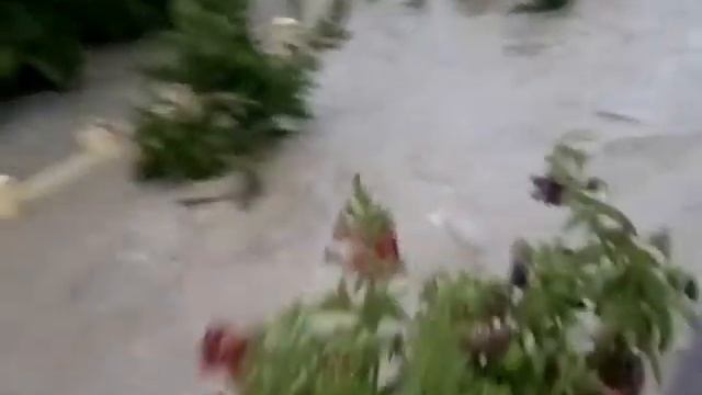 Геленджик Голубая Бухта Виноградарь 5/75 смотреть онлайн