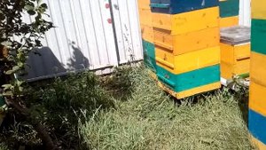 Многокорпусной улей на рамку Фарара .