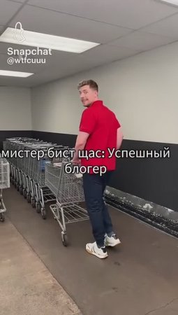 Мистер бист гитлер