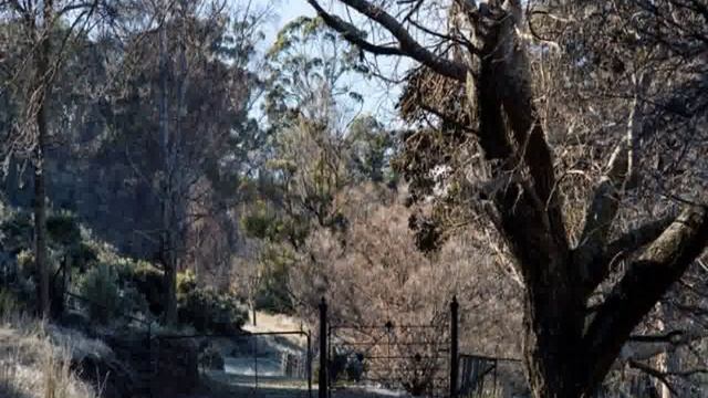 Туризм, Австралия, Тасмания, Buckland - Brockley Estate смотреть онлайн