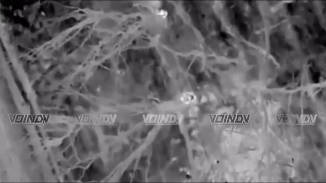 Обнуляем живую силу, технику и средства связи 23 и 79 омбр ВСУ. смотреть онлайн