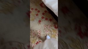 ОТЕЛЬ 4* НОВАЯ МАНЬЧЖУРИЯ, КИТАЙ