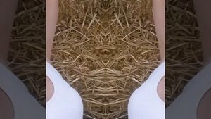 Бахча Пономарёвых! Ставропольский край