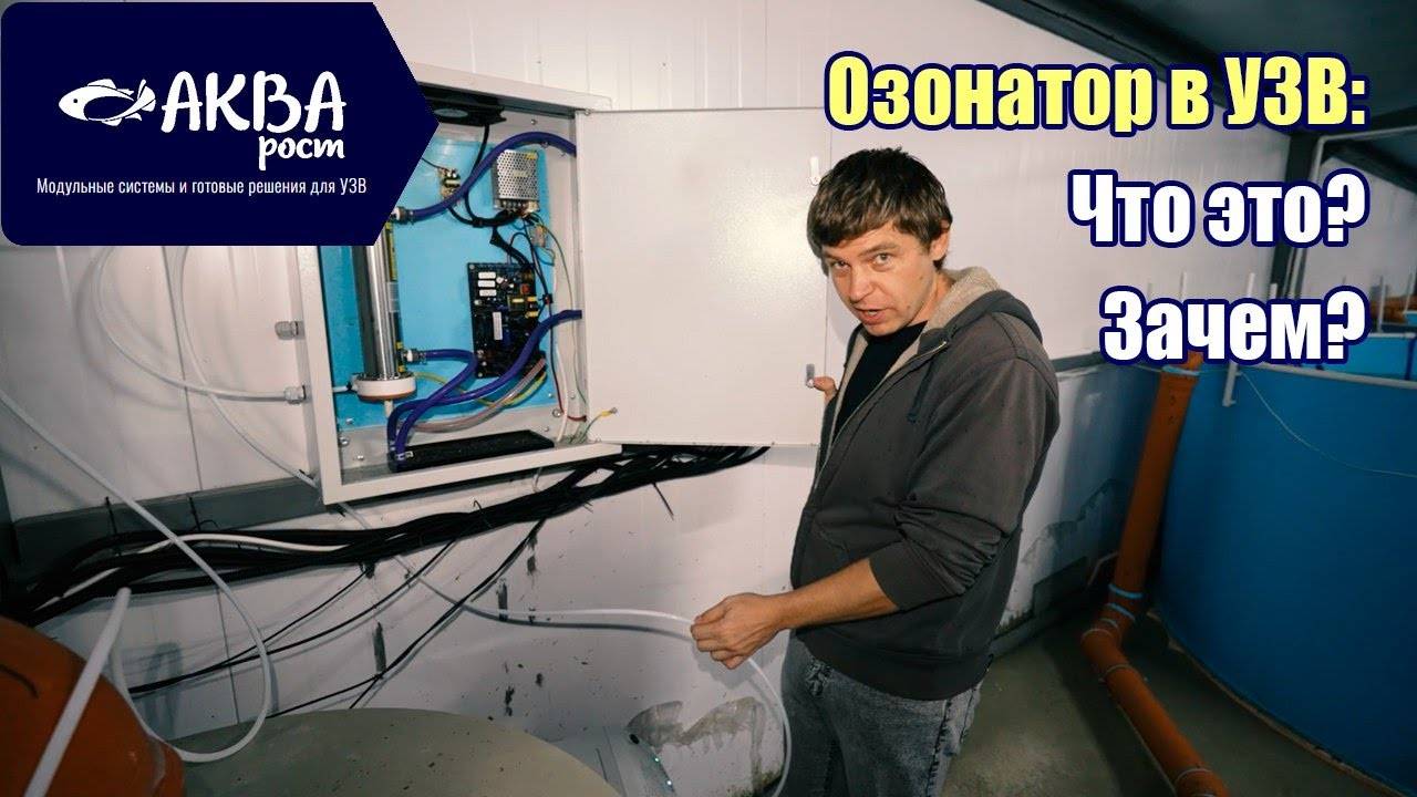 Что такое озонатор и зачем он в УЗВ #система #узв #рыба #акварост #форель #осетр #озон смотреть онлайн
