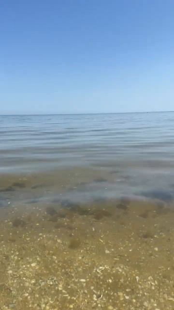 тишь да гладь море уже теплое прозрачное  Кучугуры Азовское море гостевой дом  Золотые Пески