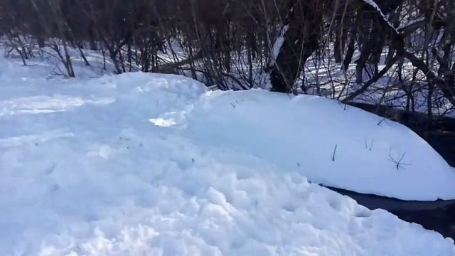 Воронежцы катятся в ручей смотреть онлайн