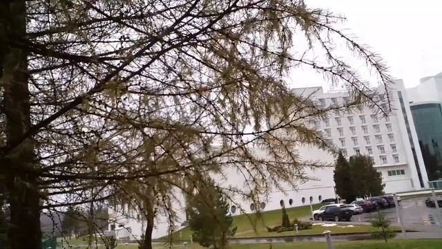 Идет дождик… Пошли на прогулку… г. Трускавец, 5* отель «RIXOS», 08.12.2018