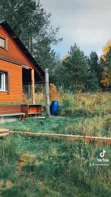🏡 Родовое поместье в Карелии смотреть онлайн