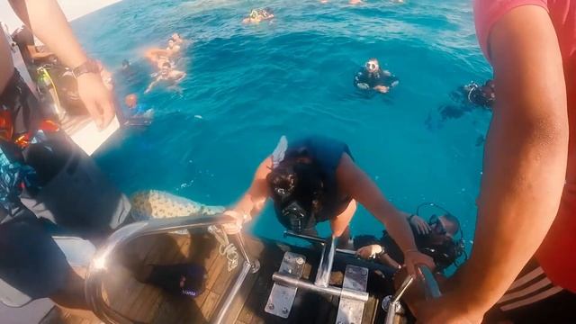 Семейство Беляевых Египед 2021 смотреть онлайн