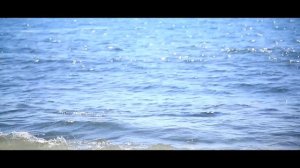 "И невероятные вещи подобные этим случаются"