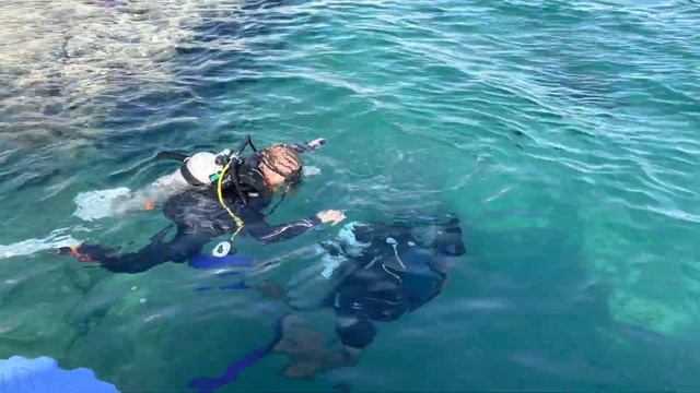 Egypt. Hilton Sharks bay. Red sea. Sharm-El-Sheikh. Массовый туризм вернулся в Египет. смотреть онлайн