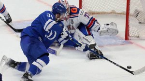 Матчи между хоккеистами РФ и США могут пройти в Санкт-Петербурге и Вашингтоне