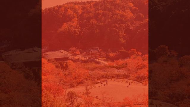 Созерцая (Отель) смотреть онлайн