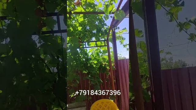 жилой дом с гостевыми комнатами в Кучугурах, юг России, Азовское побережье смотреть онлайн