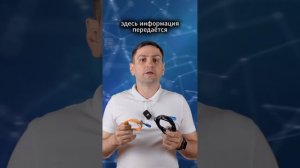 В чем разница между оптикой и витой парой?