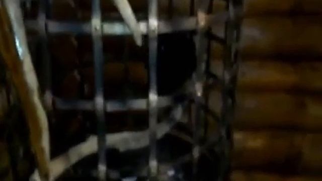 Колиба опришків смотреть онлайн