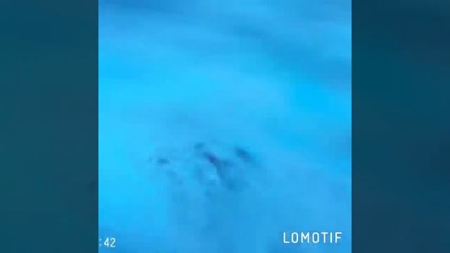 Египет Шарм-эль-Шейх Rehana Royal Beach Resort & Spa 5* 2017 смотреть онлайн