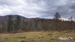 Республика Алтай.Чемальский район.Обзор с.Верх Анос.